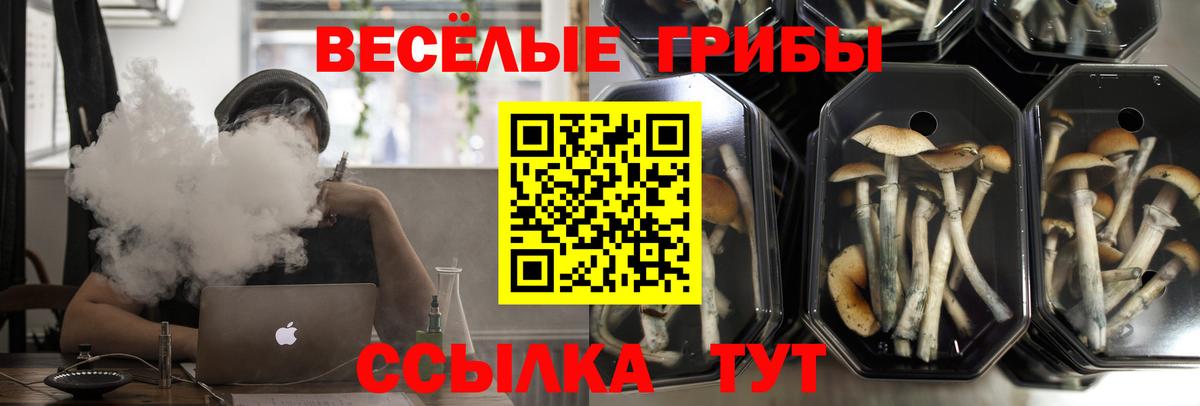 Псилоцибиновые грибы MAGIC MUSHROOMS Новокубанск