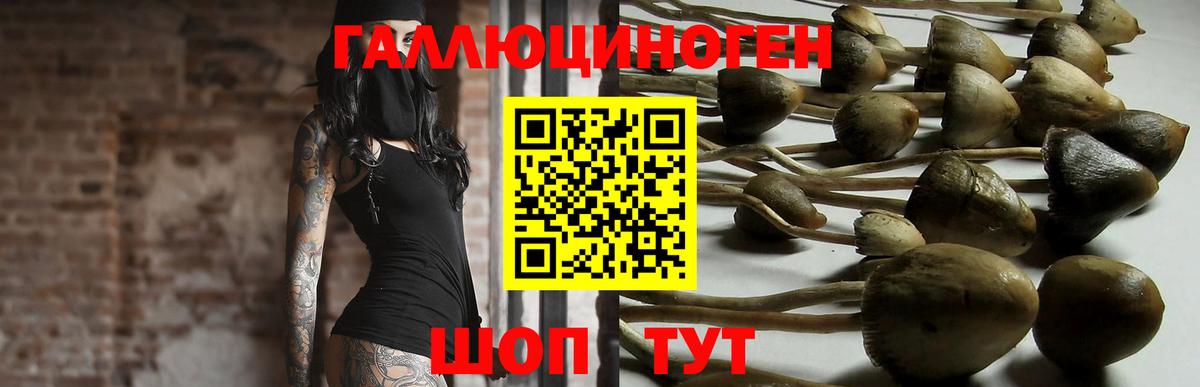Новокубанск  Галлюциногенные грибы Cubensis  Вход с VPN  Галлюциногенные грибы Psilocybe 